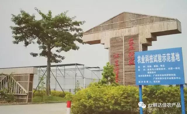 南沙農業生產好色先生污视频
